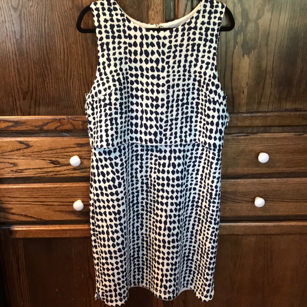 Women’s Ann Taylor Sleeveless Dress Sz 14